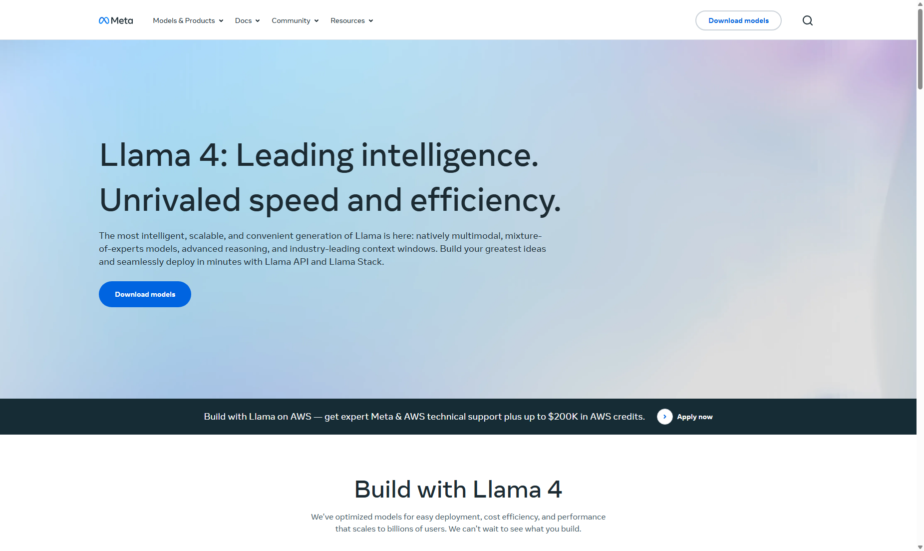 Llama by Meta