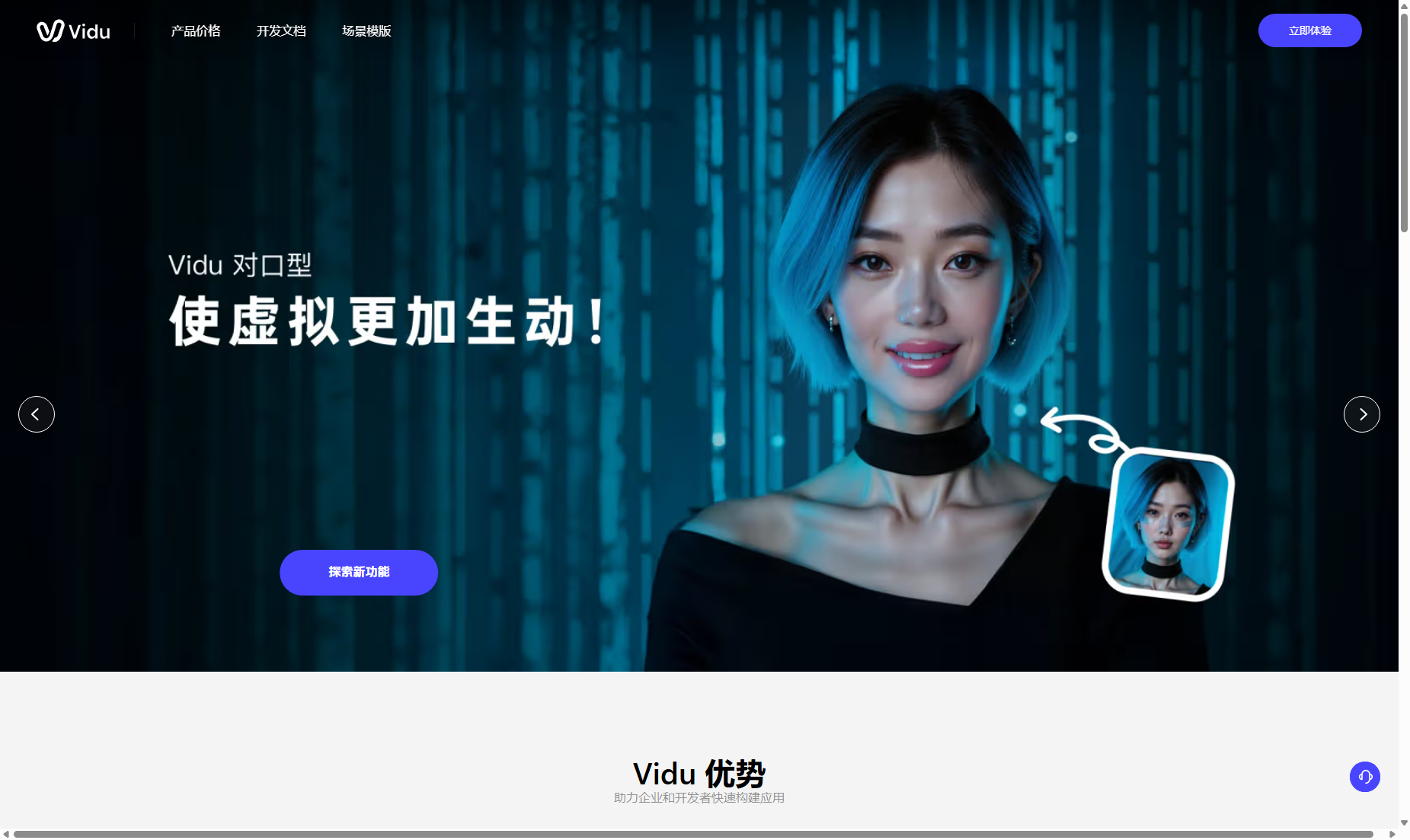 Vidu API