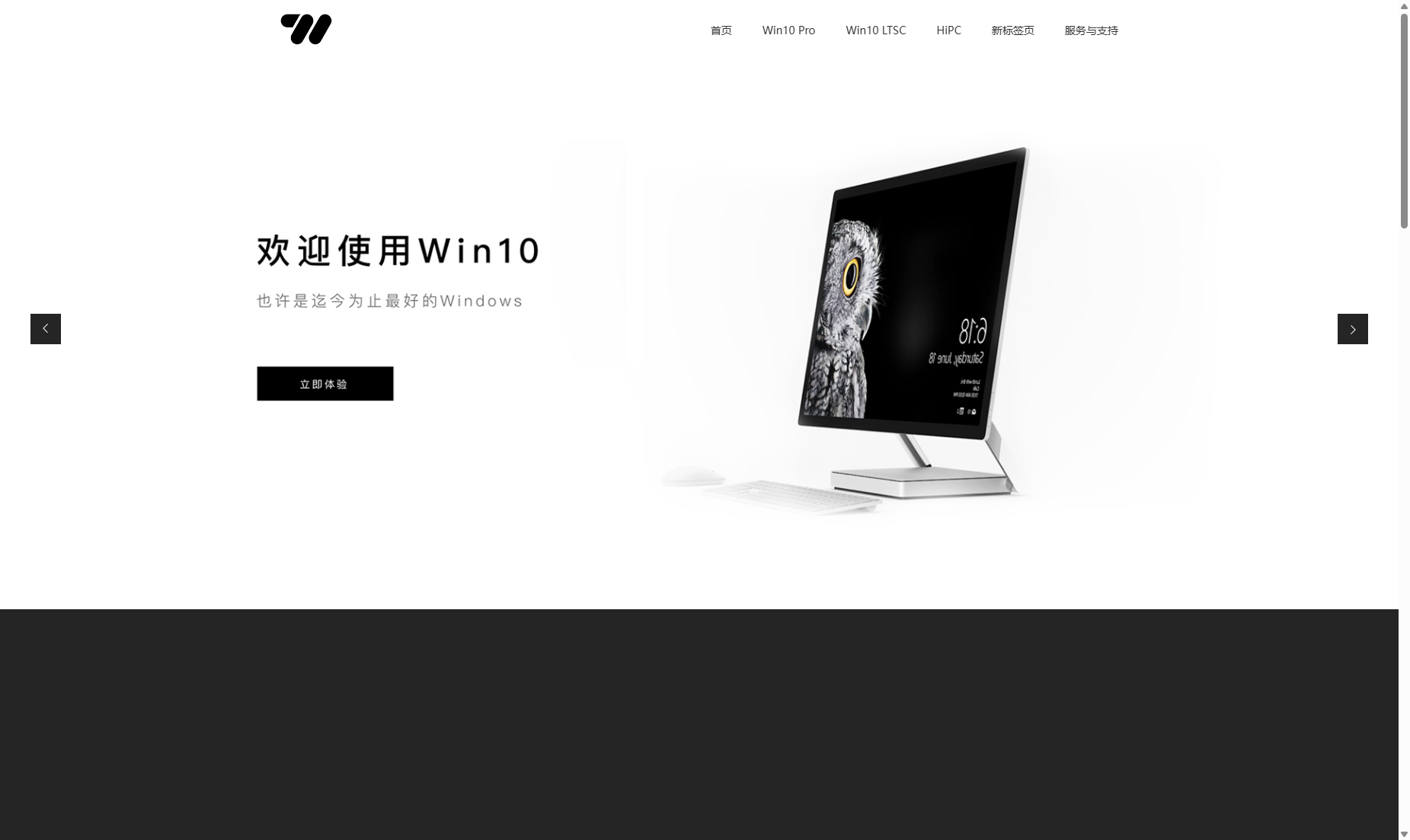 专注于Win10