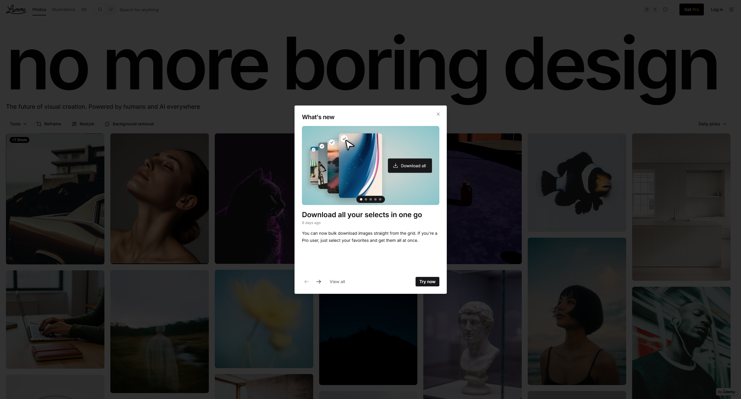 Lummi — Free AI Stock Images, Illustrations & 3D